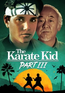 Парень-каратист 3